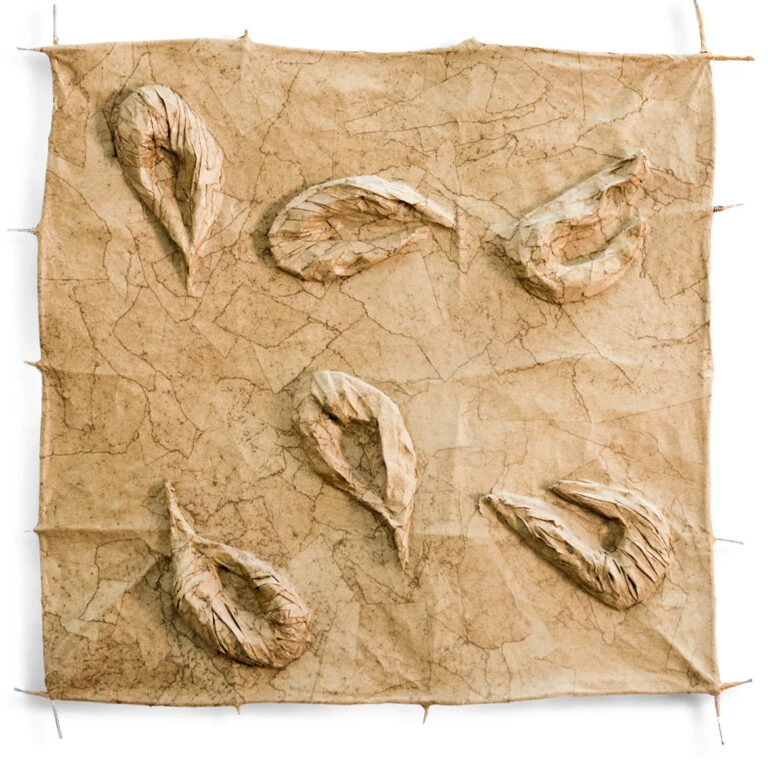 Prawns